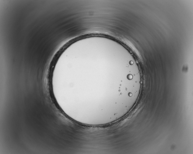 X0000102771068200808180950