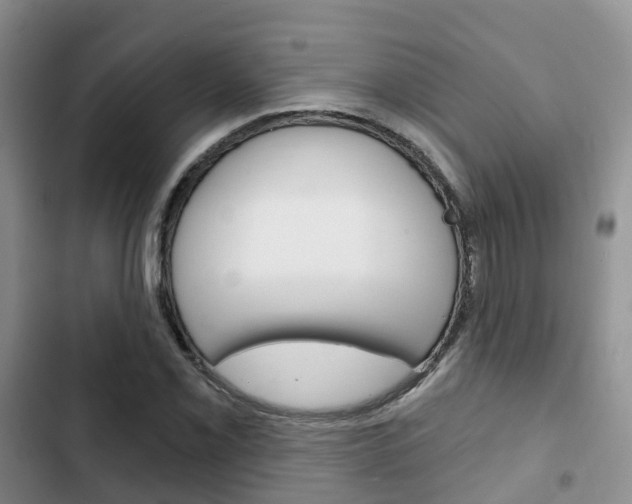 X0000102771069200808180950