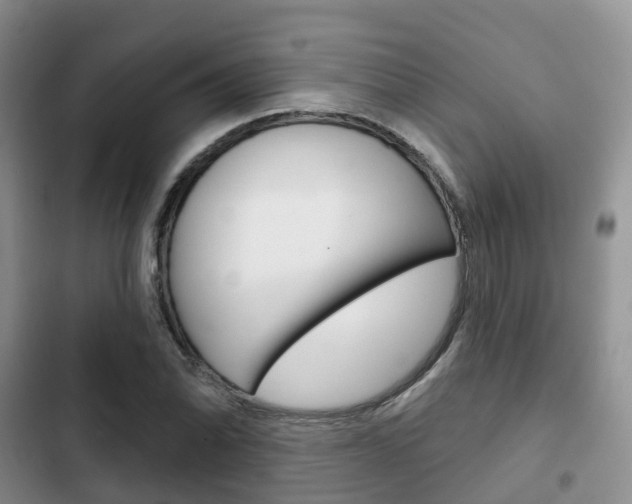 X0000102771070200808180950