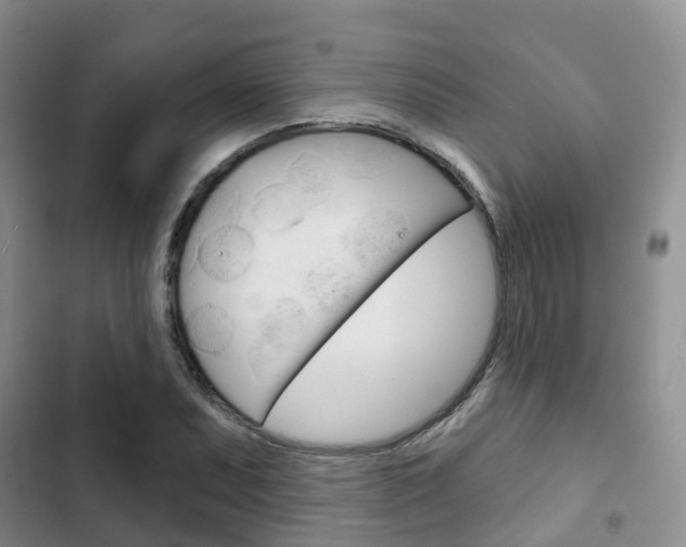 X0000102771071200808180950