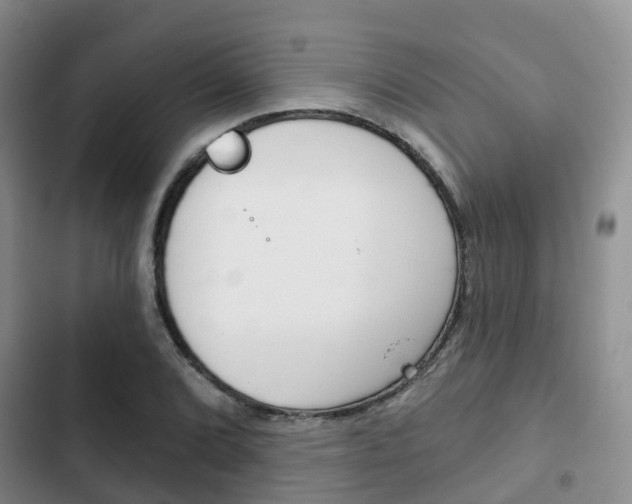X0000102771072200808180950