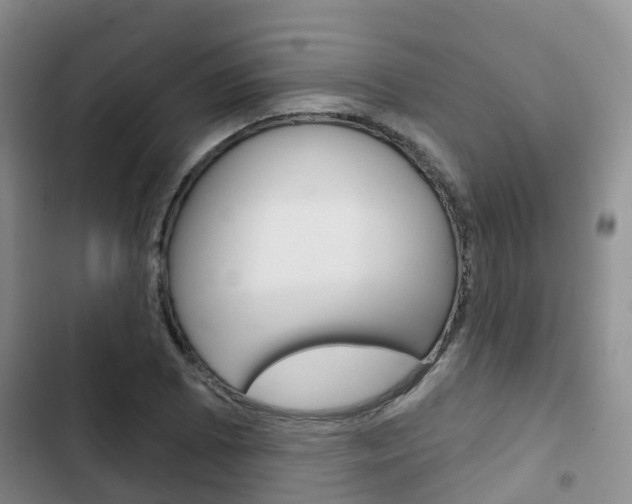 X0000102771073200808180950