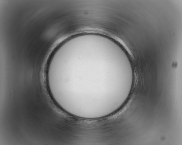 X0000102771074200808180950