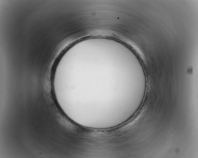 X0000102771075200808180950