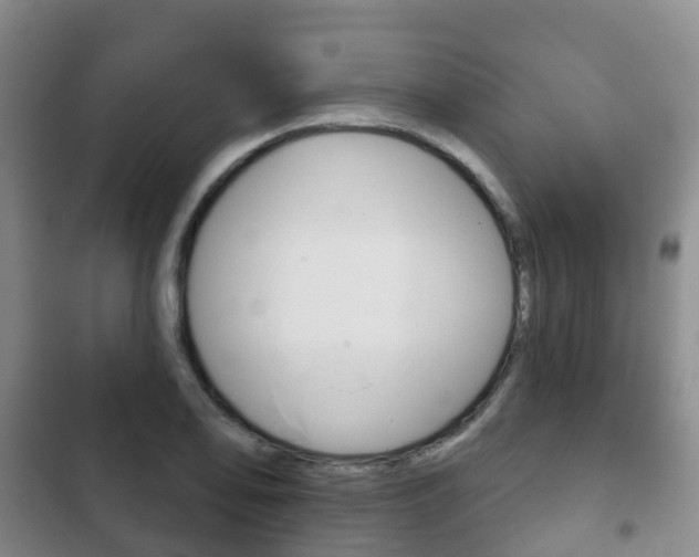 X0000102771078200808180950