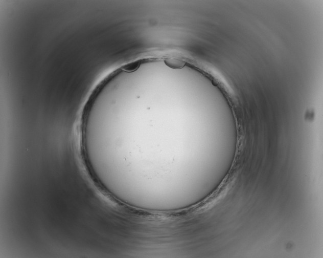 X0000102771079200808180950