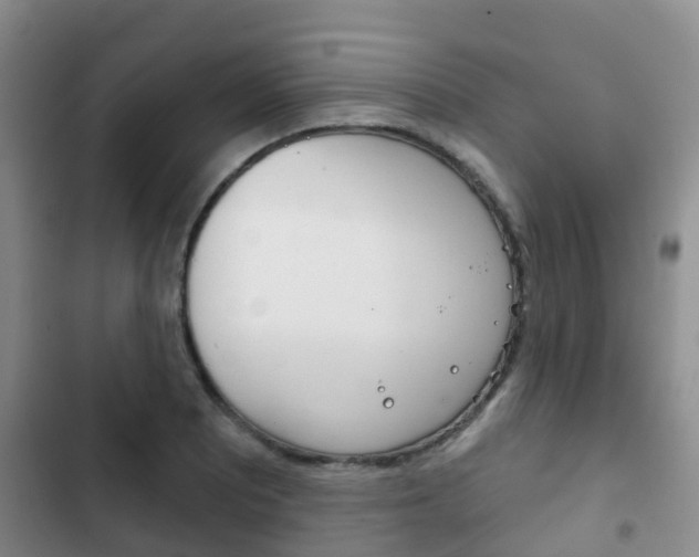 X0000102771081200808180950