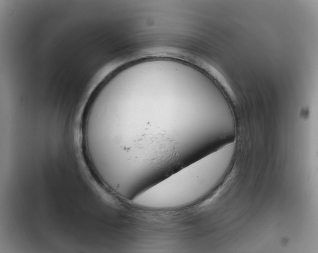 X0000102771082200808180950