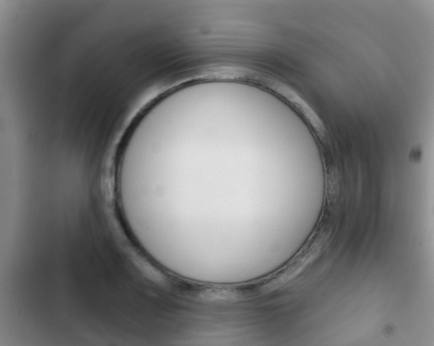 X0000102771083200808180950