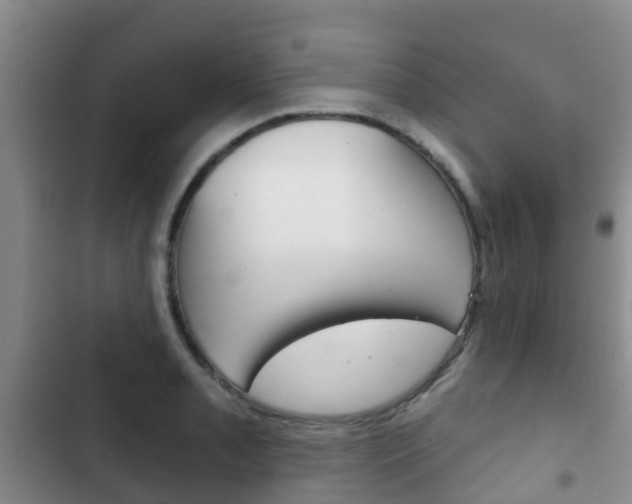 X0000102771085200808180949