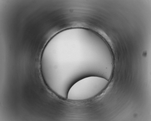 X0000102771089200808180949