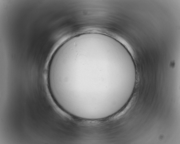 X0000102771090200808180949