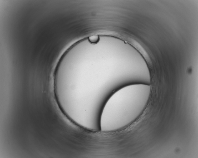 X0000102771092200808180949