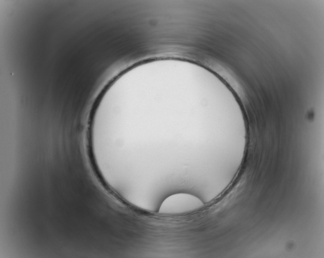 X0000102771093200808180949
