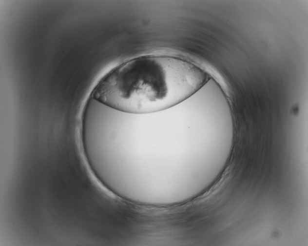 X0000102771095200808180949