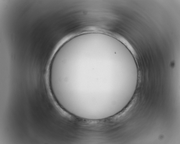 X0000102771098200808180949