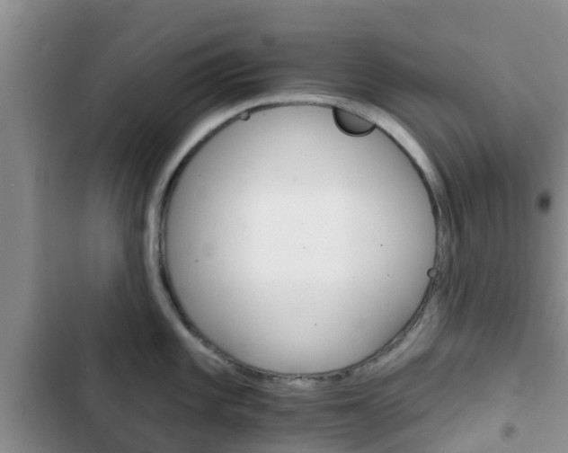X0000102771101200808180949