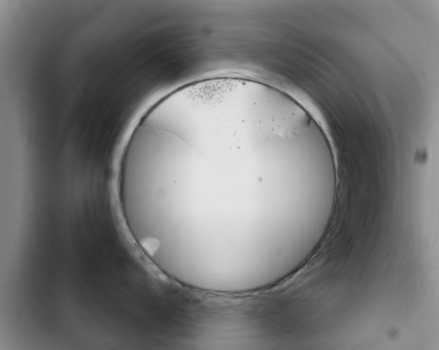 X0000102771104200808180949