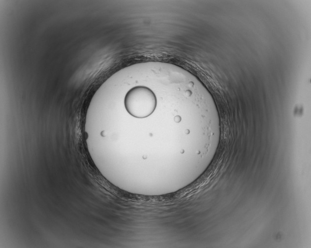 X0000102771106200808180948