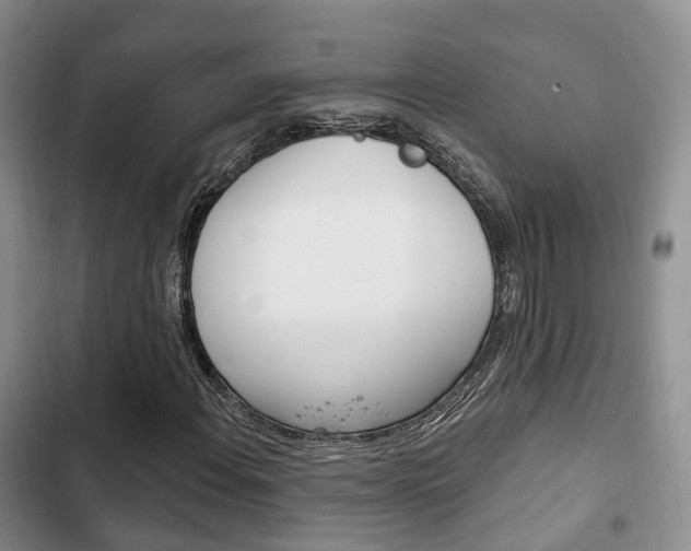 X0000102771108200808180948