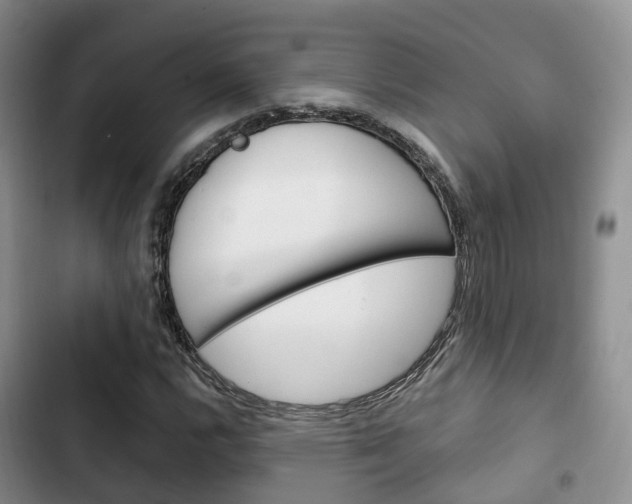 X0000102771112200808180948
