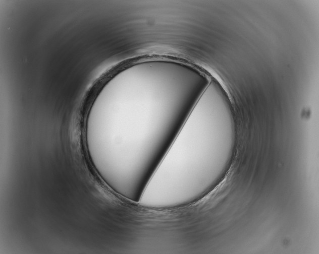 X0000102771115200808180949