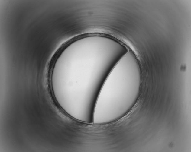 X0000102771116200808180949