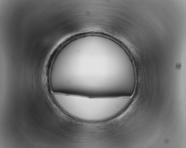 X0000102771118200808180949