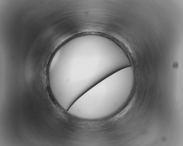 X0000102771121200808180949