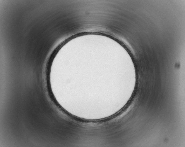 X0000102771122200808180949