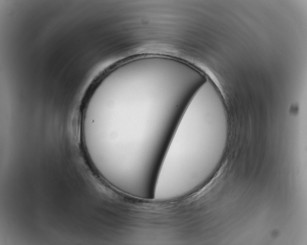 X0000102771123200808180949