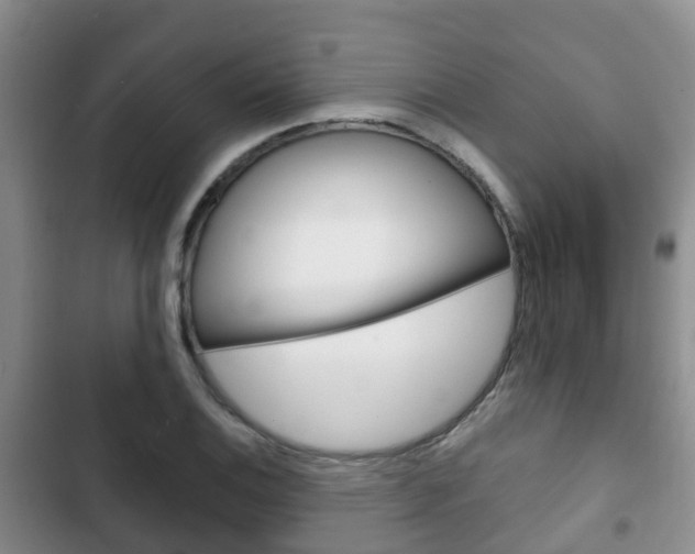 X0000102771124200808180949