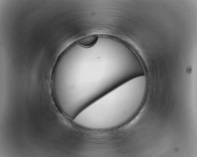 X0000102771129200808180949