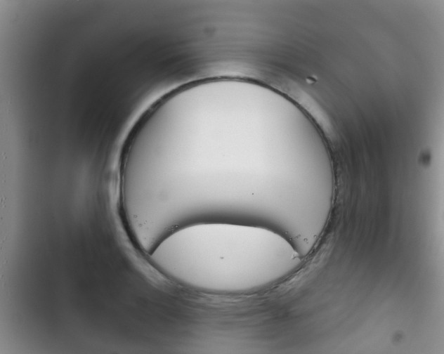 X0000102771132200808180949