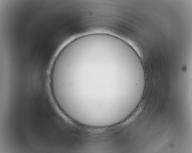 X0000102771134200808180949