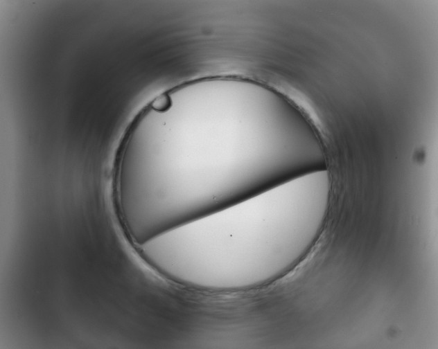 X0000102771135200808180949