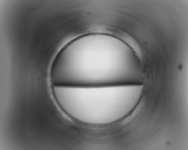 X0000102771141200808180949