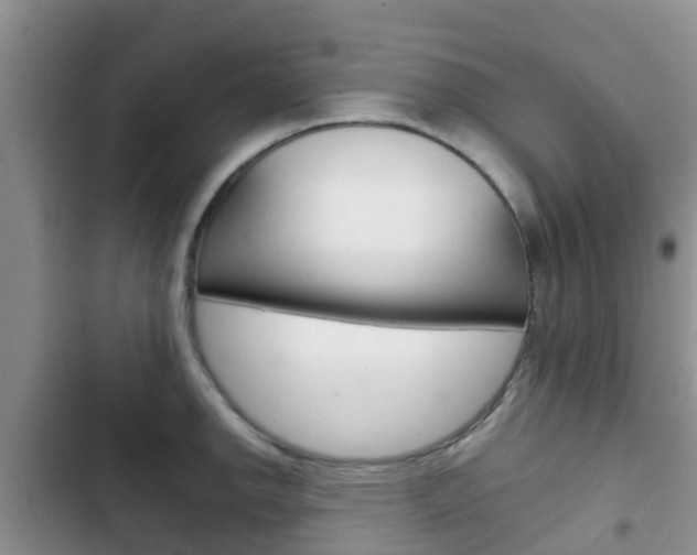 X0000102771142200808180949