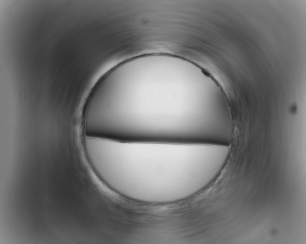 X0000102771143200808180949