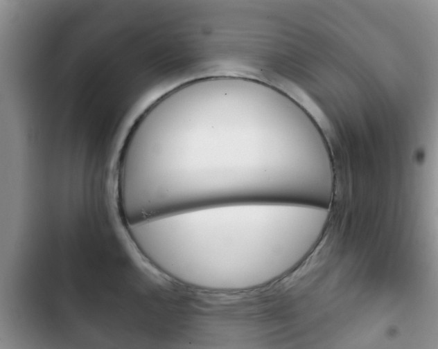 X0000102771144200808180949