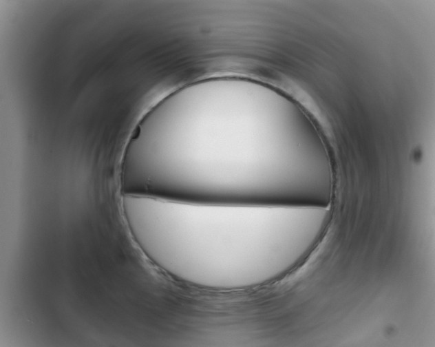 X0000102771145200808180949