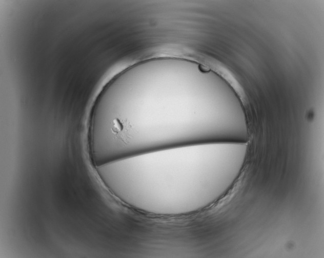 X0000102771146200808180949