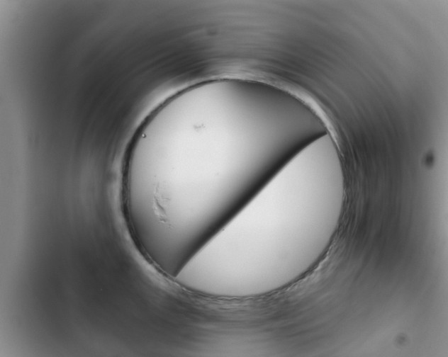 X0000102771147200808180949