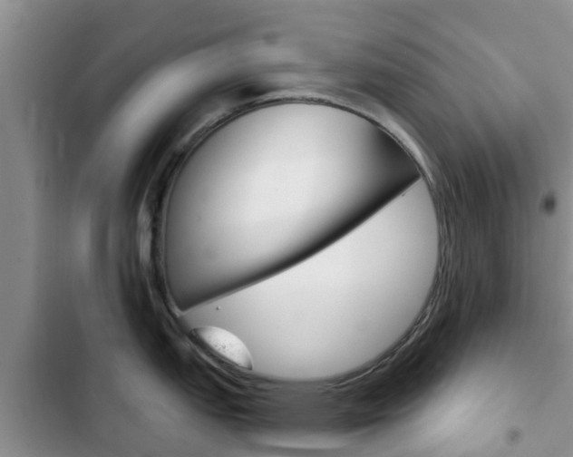 X0000102771151200808180949
