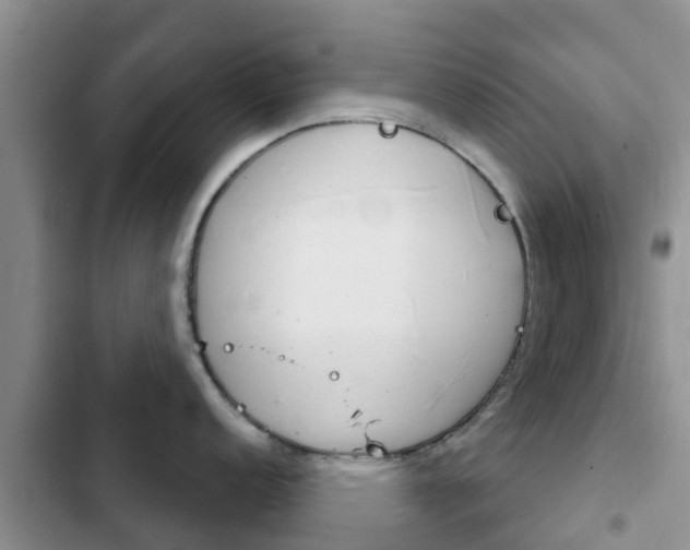 X0000102771152200808180949