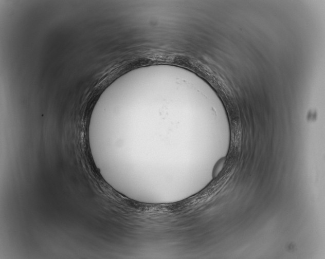 X0000102771154200808180948