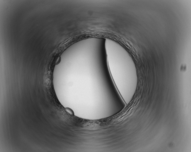 X0000102771156200808180948