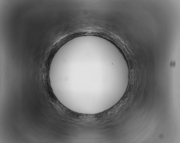 X0000102771158200808180948