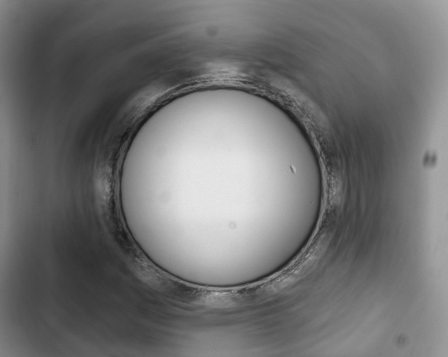 X0000102771161200808180948