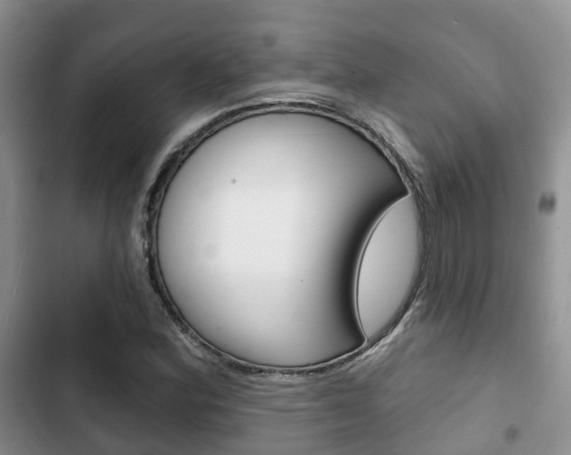 X0000102771164200808180948